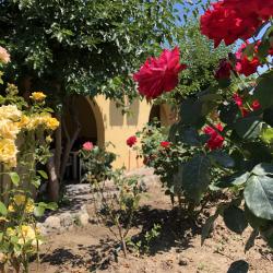 Фото Отель Город-Ок!