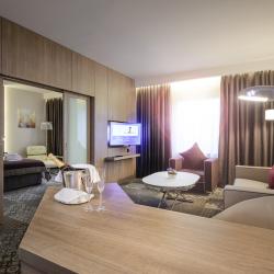 фото 23 Novotel Moscow Sheremetyevo (Новотель Шереметьево)