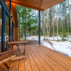 Дом с видом на лес гостиная со спальней (40 кв.м)