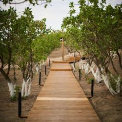 Фото Отель EcoHouse Glamping (ЭкоХаус Глэмпинг)