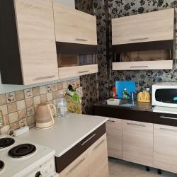 Фото Апартаменты Клондайк на улице имени М.С. Урицкого 19А