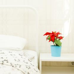 Фото Апартаменты Добрые сутки на Сони Морозовой 175а