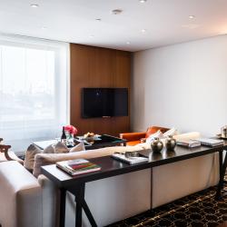 Ararat Park Hotel Moscow (Арарат Парк Хаятт Москва) — 4f5f3cc108fec62d3297fdae190f00a6
