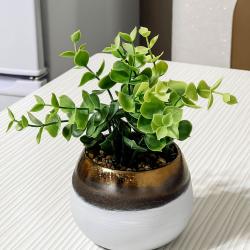 2-комнатные апартаменты улучшенные