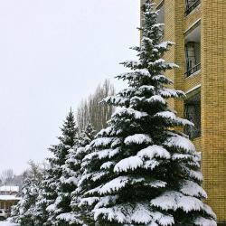 фото 3 Гостиница-А (бывш. Атоммаш)