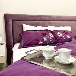 Фото Апартаменты на улице Мечникова