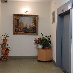 Фото Отель Квартира на Пулковской 6 корпус 2