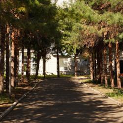 Фото Отель Санаторий Евромед