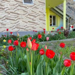 Фото Отель Sun House (Сан Хаус)