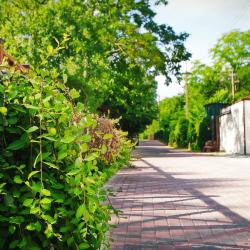 Фото Парк-отель ПОЛЯНА