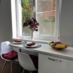 2-местные 1-комнатные апартаменты студия 18