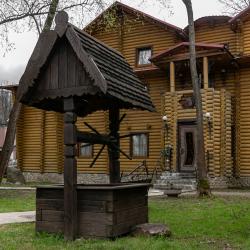 фото 66 Чайка