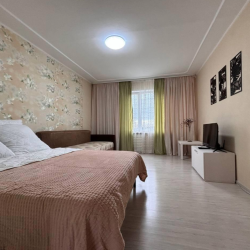 3-комнатные апартаменты улучшенные 3-к. квартира, 68 м², 4 кровати на союзной 135