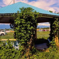 Фото Отель Улзы