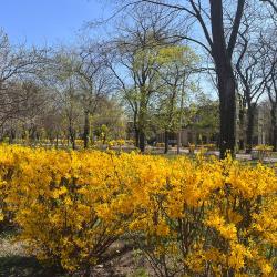 Фото Апартаменты Ya Doma на улице Стадионная 38