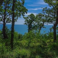 Фото Отель Paradise (Парадиз)