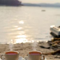 Фото Отель Светлячок Увильды