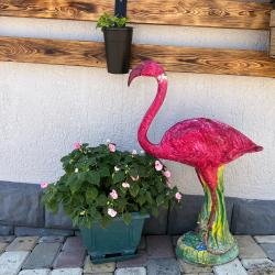 Фото Отель Гостевой дом Flamingo (Фламинго)