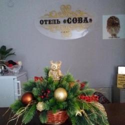 Фото Отель Сова