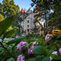 фото 3 Вилла Анна
