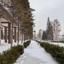 1-комнатные апартаменты стандарт