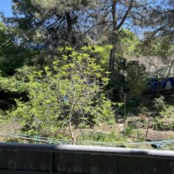 Фото Апартаменты на улице Горная 29