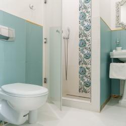 Provence стандарт №10