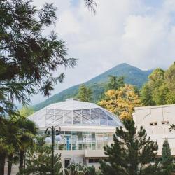 Фото Отель Amra Park-Hotel & Spa (Амра)