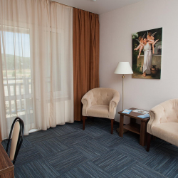 Фото Отель Гостиничный комплекс Кремниевы термы