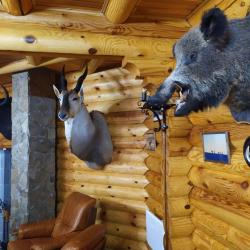 Фото Отель База отдыха Боровское