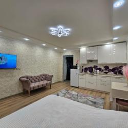 1-комнатные апартаменты студия