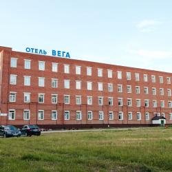 Фото Отель Вега