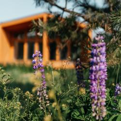 Фото Отель Барн Вилладж