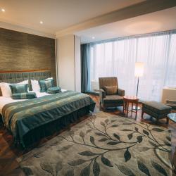 Номер стандарт с 1 двуспальной кроватью