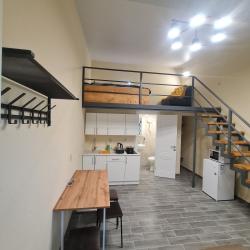 1-комнатные апартаменты стандарт Лермонтова 28