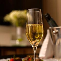 Фото North Star Hotel (Норд Стар Отель)