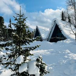 3-комнатный коттедж премиум