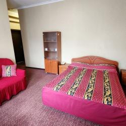 Номер люкс с 1 двуспальной кроватью  #101