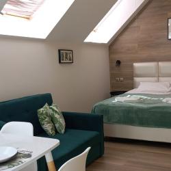 1-комнатные апартаменты стандарт (мансарда)