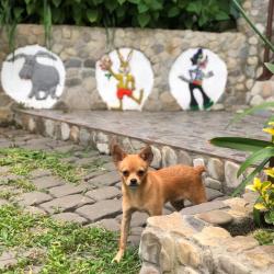 Фото Отель МарПоль