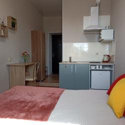 1-комнатные апартаменты студия