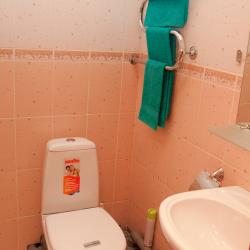 1-местный номер стандарт (с завтраком, мансарда) #204