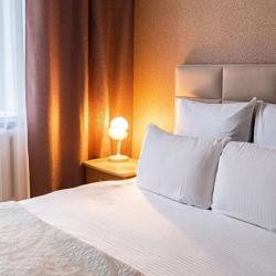 Номер люкс с 1 двуспальной кроватью