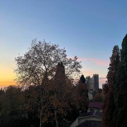 Фото Апартаменты на проспекте Курортный 84