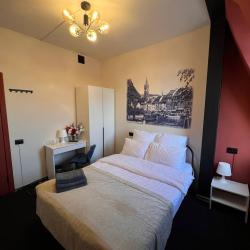 Номер стандарт с 1 двуспальной кроватью Альтштадт