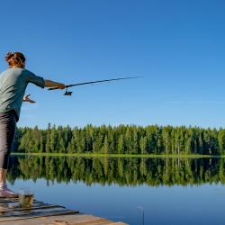 Фото Отель Новгородская Деревня