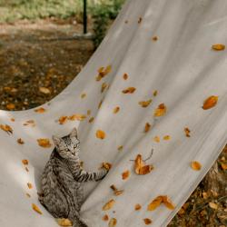 Фото Отель А-Шалаш Черноречье
