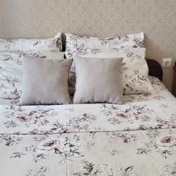 2-комнатные апартаменты улучшенные с 1 двуспальной кроватью