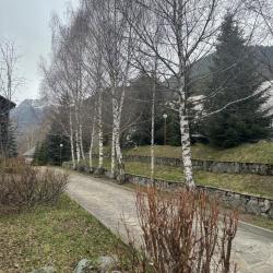Фото Отель Woodland (Вудлэнд)