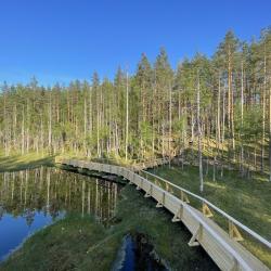 Фото Отель Mystic Hills (Мистик Хилс)